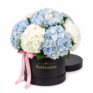 Blue and white hydrangeas in a black flambouayia hat box with pink ribbon