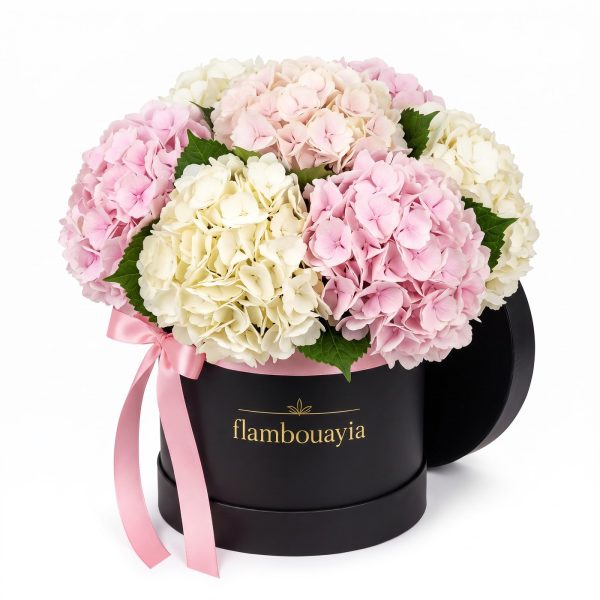 Blush Hydrangea Flower Box