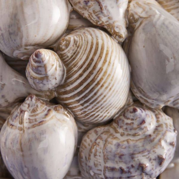 Shell Vase — Natural Stoneware 27.5cm