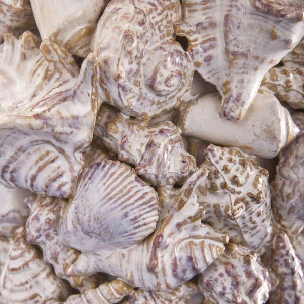 Shell Vase — Natural Stoneware 33.5cm